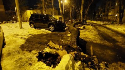 Вночі у Харкові дерево привалило декілька авто Вночі у Харкові дерево привалило декілька авто
