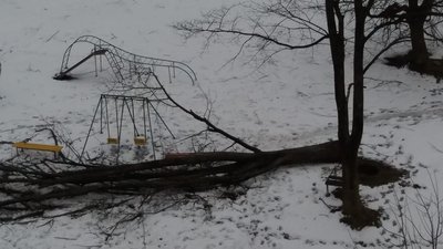 Повалені дерева, зірваний шмат даху - наслідки негоди на Прикарпатті Повалені дерева, зірваний шмат даху - наслідки негоди на Прикарпатті