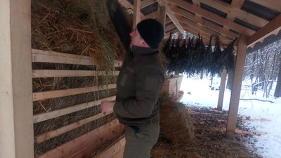Понад дві сотні підгодівельних комплексів для диких тварин облаштували в лісництвах Житомирщини Понад дві сотні підгодівельних комплексів для диких тварин облаштували в лісництвах Житомирщини