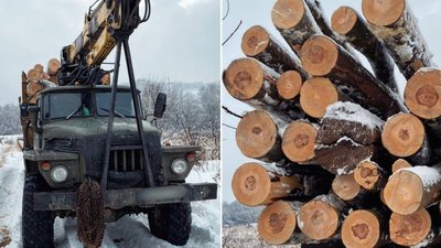 Вилучили 14 кубометрів породи бук: на Закарпатті правоохоронці виявили вантажівку з деревиною
