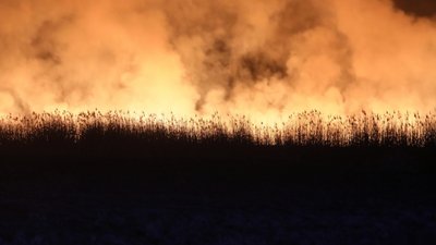 У Польщі четверту добу горить найбільший національний парк країни