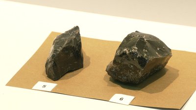 Рівненські археологи прозвітувались за річну роботу та показали артефакти віком у 12 тисяч років Рівненські археологи прозвітувались за річну роботу та показали артефакти віком у 12 тисяч років