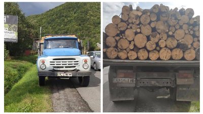 На Закарпатті поліція зупинила вантажівку з деревиною