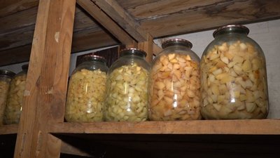 кабачки