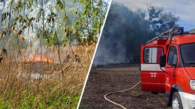 На Черкащині зафіксували вісім пожеж сухостою та сміття