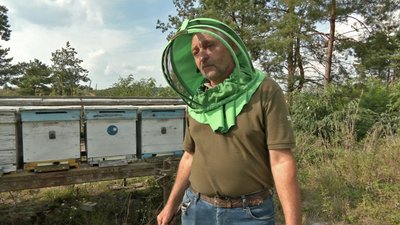 Волинський пасічник тримає на засіяних сидератами полях 140 бджолиних сімей. Як це впливає на врожай аграріїв Волинський пасічник тримає на засіяних сидератами полях 140 бджолиних сімей. Як це впливає на врожай аграріїв