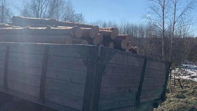 На Житомирщині за добу у двох районах затримали вантажівки з необлікованим лісом