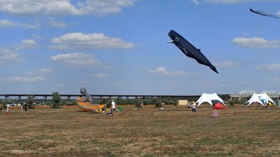Літаючі кити, ведмідь та прибулець: на Миколаївщині триває фестиваль повітряних зміїв Літаючі кити, ведмідь та прибулець: на Миколаївщині триває фестиваль повітряних зміїв