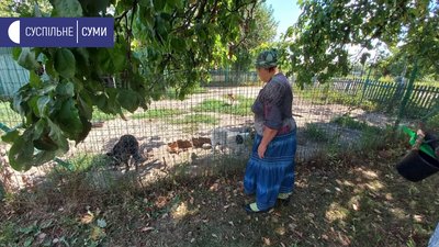 На Сумщині шукають домівки собакам і котам, про яких піклувався священник з Грабовського На Сумщині шукають домівки собакам і котам, про яких піклувався священник з Грабовського