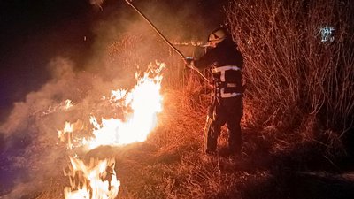 Горіли екосистеми та господарська споруда: на Волині за добу ліквідували 15 пожеж Горіли екосистеми та господарська споруда: на Волині за добу ліквідували 15 пожеж