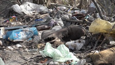 Спільної весняної толоки у Житомирі через карантин не буде Спільної весняної толоки у Житомирі через карантин не буде