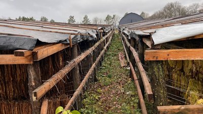 Правоохоронці ліквідували підпільне виробництво тютюну на понад 25 млн грн