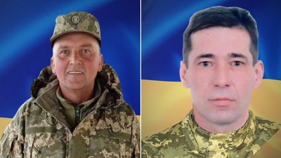 Дмитро Гордей, Анатолій Шевчук