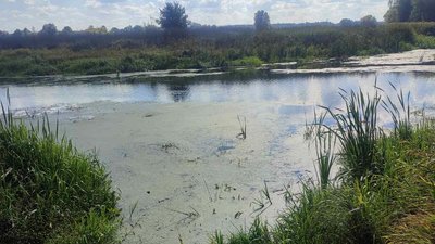 Одна з річок на Волині у період маловоддя, жовтень 2026 року
