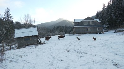 Обійстя Марія Джуряк Обійстя Марія Джуряк