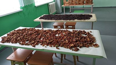 У Ганнівському старостаті працівники шкіл та дистадків готують їжу для військових