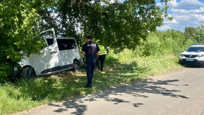ДТП на Миколаївщині: мікроавтобус врізався в дерево