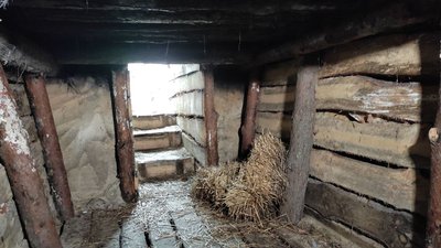 В прикордонних із Білоруссю лісах на Волині селяни самотужки облаштували сховища В прикордонних із Білоруссю лісах на Волині селяни самотужки облаштували сховища