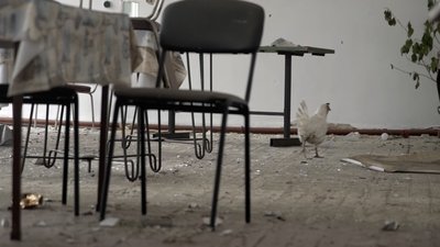 "Страшне шкоди понаробили". Як сьогодні виглядає село Червоне на Запоріжжі "Страшне шкоди понаробили". Як сьогодні виглядає село Червоне на Запоріжжі