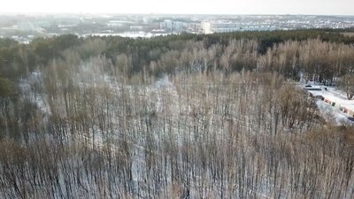 Земельна комісія рекомендує зняти з розгляду депутатів зміну цільового призначення землі в Ялівщині