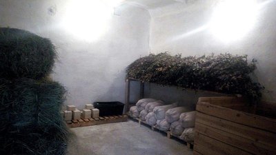 Лісівники Житомирщини облаштували майже 300 годівниць для диких звірів Лісівники Житомирщини облаштували майже 300 годівниць для диких звірів