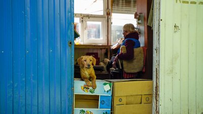 Головні новини Харкова та області 9 травня: хроніка