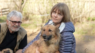Тварини переселенці