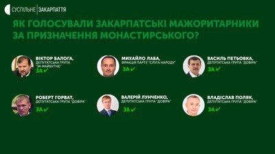 Прийняли держбюджет на 2022 рік. Як голосували закарпатські мажоритарники