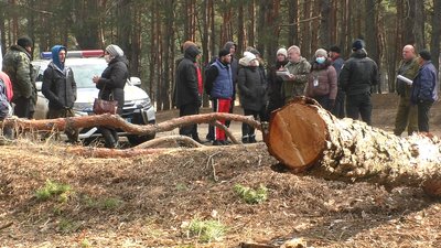 У Миколаєві жителі мікрорайону вийшли на захист лісу