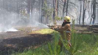 На Полтавщині згоріло близько одного гектара лісу