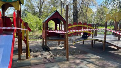 Дитячий майданчик де впали гілки дерева на дитину у Новоселиці на Буковині