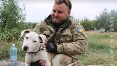 Історія військового Віталія Максимкіна та його собаки Мони Історія військового Віталія Максимкіна та його собаки Мони