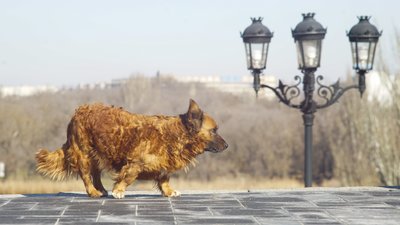  погода з 9 до 15 березня на Миколаївщині