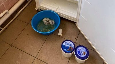 Фото:Володимир Гончарук Фото:Володимир Гончарук