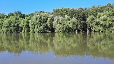 На Одещині вода із заплави річки піднялась до рівня автодороги На Одещині вода із заплави річки піднялась до рівня автодороги