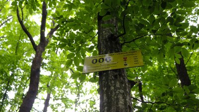 У ННП "Дністровський каньйон" відкрили екостежку У ННП "Дністровський каньйон" відкрили екостежку
