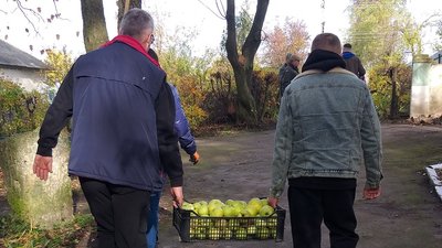 На Тернопільщині у дендропарку організували осінню толоку На Тернопільщині у дендропарку організували осінню толоку