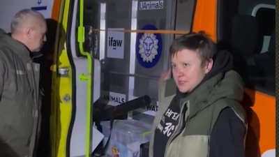 Колють знеболюючі та протизапальні: який стан оленя Бориса з Рівненщини Колють знеболюючі та протизапальні: який стан оленя Бориса з Рівненщини