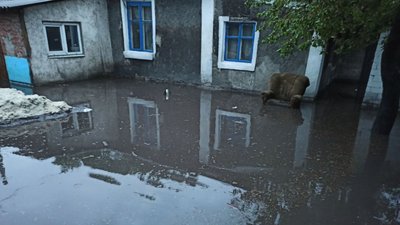 ДСНС: На Донеччині дощова вода затопила приватне подвір'я