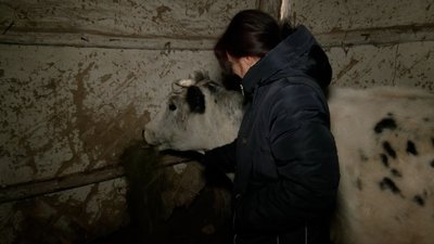 Останні жителі села Ясна Поляна, що на прикордонні Чернігівщини, стали переселенцями