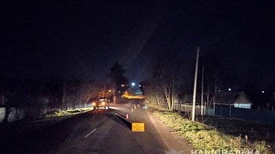 На Житомирщині під колесами автівки загинув пішохід На Житомирщині під колесами автівки загинув пішохід