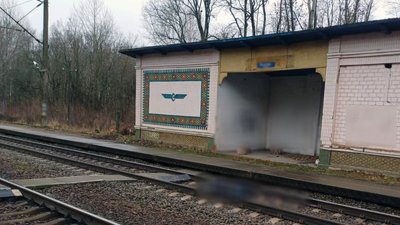 Житомир, потяг, загибель, 24 листопада 2025 року