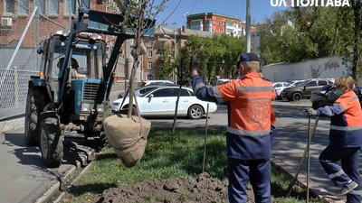 Понад 130 дерев та 400 кущів висадили у Полтаві Понад 130 дерев та 400 кущів висадили у Полтаві