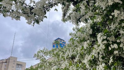 Житомир, погода, природа, травень 2026 року