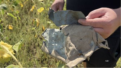 Пам'ять героям: на Миколаївщині встановлять пам'ятник загиблим пілотам в полі Пам'ять героям: на Миколаївщині встановлять пам'ятник загиблим пілотам в полі