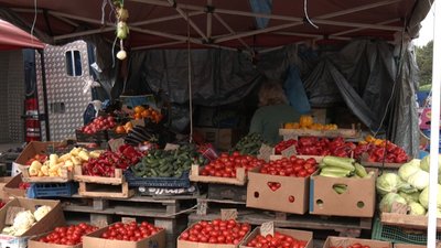 Ціни на помідори: які сорти обирають тернополяни