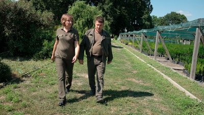 "Успішні, бо незалежні": історія Галини Кілимник, яка 30 років працює лісничою на Вінниччині "Успішні, бо незалежні": історія Галини Кілимник, яка 30 років працює лісничою на Вінниччині