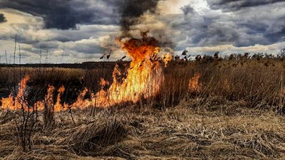 Підпал і необережне поводження з вогнем: за добу 7 разів горіла суха рослинність