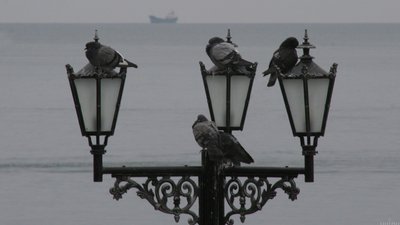 Вуличне освітлення в Миколаєві ймовірно увімкнуть у жовтні — міський голова Сєнкевич