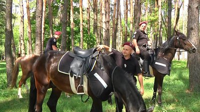 У житомирському Гідропарку після карантину на патрулювання вийшов кінний патруль